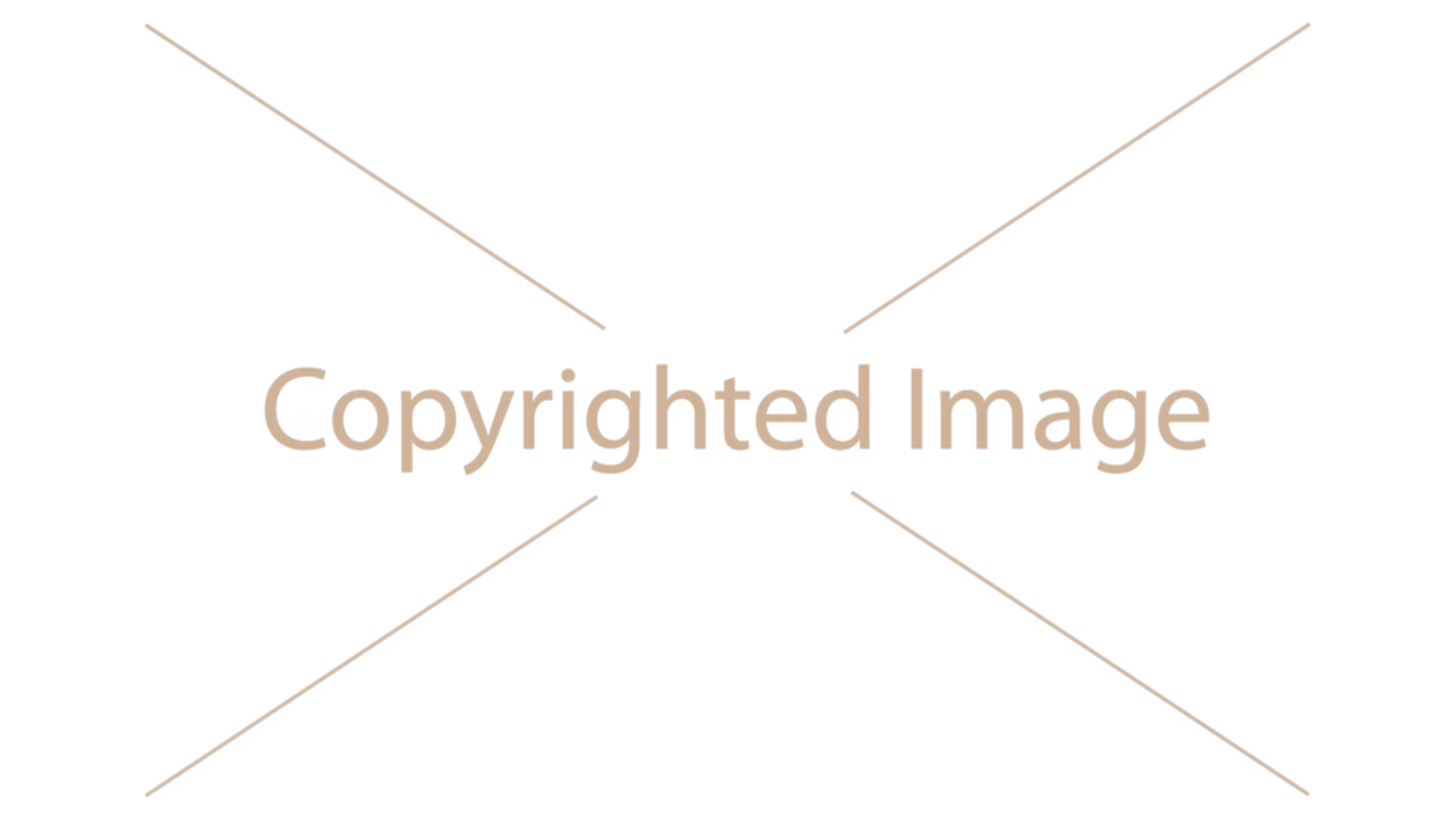 Водяной знак